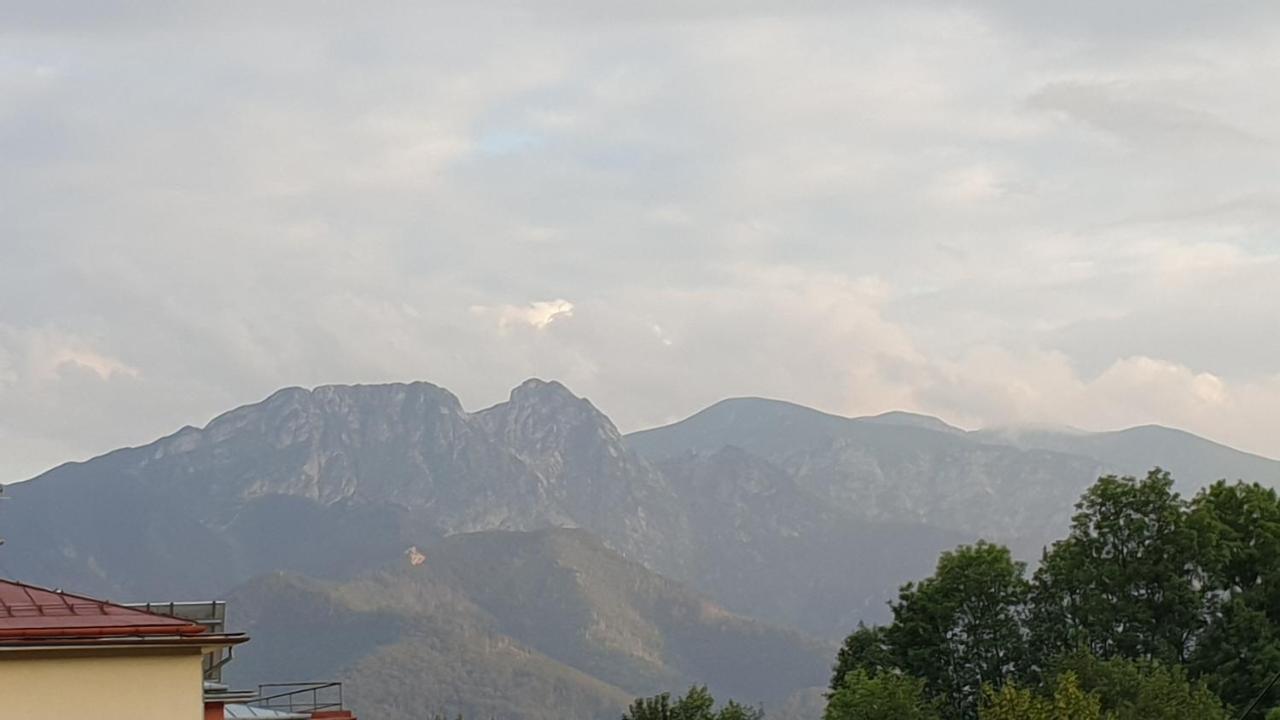 Villa Fortuna - Regionalne Apartamenty & Spa - Sauna, Grill, Jacuzzi Z Widokiem Na Tatry Zakopane Bagian luar foto