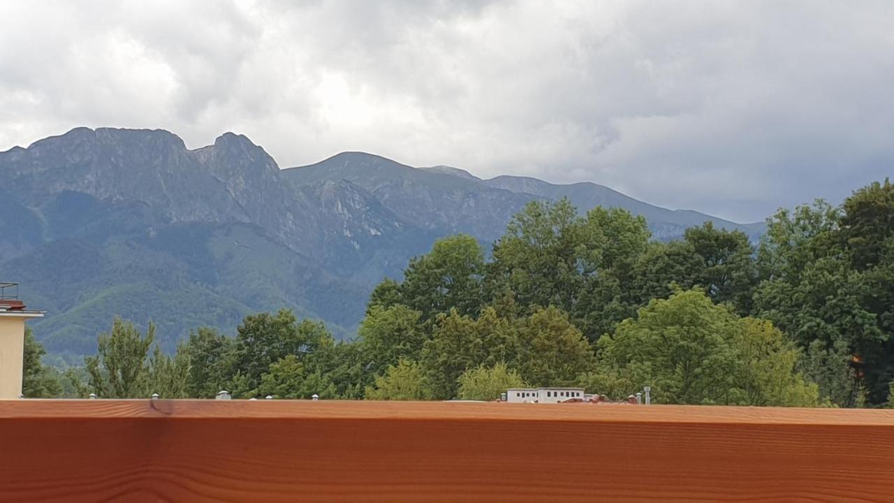 Villa Fortuna - Regionalne Apartamenty & Spa - Sauna, Grill, Jacuzzi Z Widokiem Na Tatry Zakopane Bagian luar foto